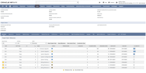 netsuite project management